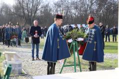 Mini IMG 8490